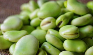 青皮豆怎么保存方法 青皮豆存放的方法