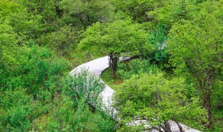 绵阳必游景点 绵阳旅游取得地方