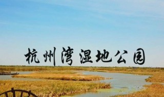 杭州湾湿地公园景点介绍 杭州湾湿地公园景点简介