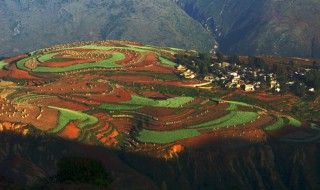 东川红土地最佳旅游时间 东川红土地的简介