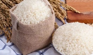 大米是凉性还是热性 大米介绍