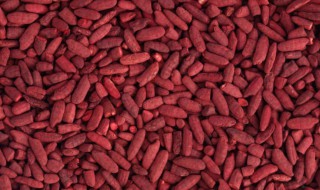 红曲米和红曲粉的区别是什么 如何区别红曲米和红曲粉