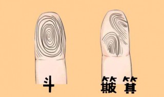 手指有斗代表什么意思 手指有斗代表的意思介绍