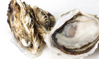 煅牡蛎与生牡蛎的区别 煅牡蛎与生牡蛎的区别是什么