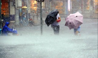 暴雨怎么形成的原因是什么 暴雨怎么形成的原因介绍