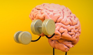 脑健康的六大 脑健康的六大介绍