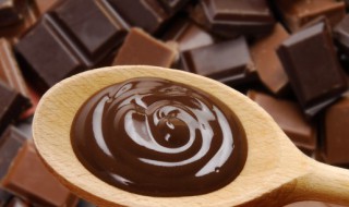 巧克牦力是什么 巧克牦力是啥