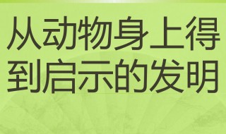 我还知道人们从什么得到了启示发明了什么 人们从什么得到了启示发明了什么