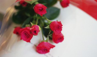 34朵玫瑰代表什么意思 玫瑰花花语