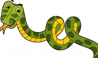 梦到绿色的蛇是什么意思是什么 梦到绿色的蛇寓意
