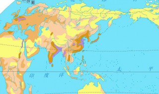 哪三个国家是世界重要的稻米出口国 稻米出口国介绍