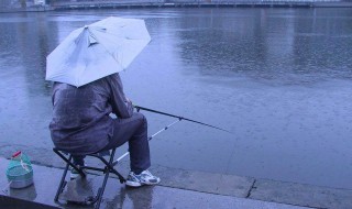 阴雨天怎么钓鱼 怎么在阴雨天钓鱼