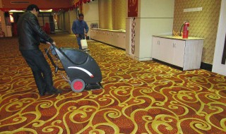 地毯怎么打理 家居地毯日常保养方法