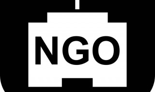 美国ngo是干什么的 NGO简介