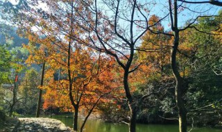 绍兴最好的秋景在哪 绍兴去哪儿赏秋景