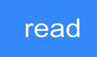 read是什么意思 read的中文意思