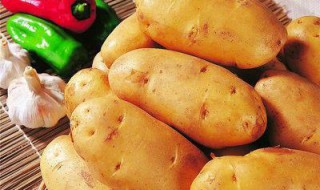 吃土豆的禁忌 要注意什么？