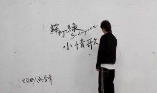 小情歌原唱是谁 由谁作词作曲