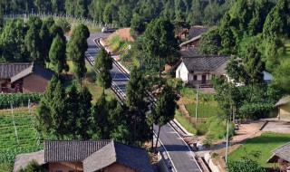 四川苍溪道路规划 了解了吗