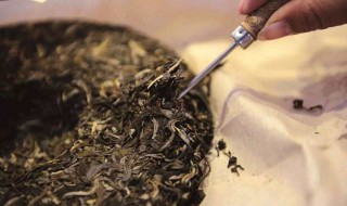 茶叶发酵是什么意思 影响发酵的因素有哪些