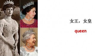 女王用单词怎么说 女王单词详解