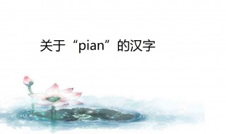 pian的汉字 其中关于片字的成语有哪些
