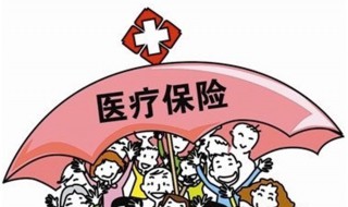 网上税务局可以交医疗保险吗 怎么交呢