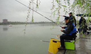海竿水库钓鱼技巧 4个技巧提高钓鱼上鱼率