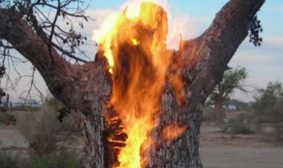 梦见着火了是什么征兆 与你一起去揭开梦境之谜