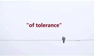 of tolerance什么意思 对这个短语组词