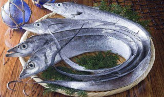 带鱼有养殖的吗 怎么区分东海带鱼和南海带鱼