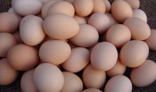 土鸡蛋和饲料鸡蛋的区别 你是否了解呢