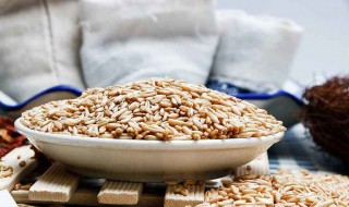 燕麦是粗粮吗 有什么功效