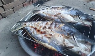 如何做木炭烤鱼 木炭烤鱼的做法