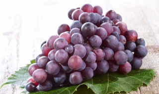 葡萄的萄可以组什么词两个字 葡萄的萄能组哪些两个字的词语