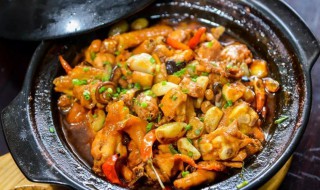 砂锅炖肉和普通锅有什么区别 关于砂锅炖肉和普通锅的区别