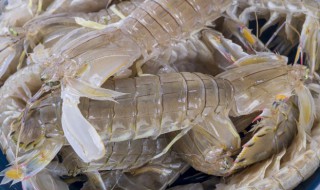 冰镇濑尿虾的做法 濑尿虾的做法