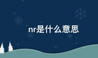 nr是什么意思 nr应该是什么意思