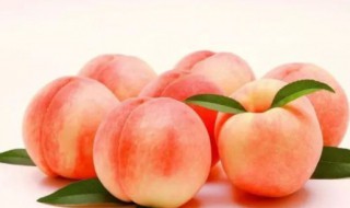 peach是什么意思中文 peach的中文翻译