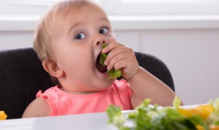 婴幼儿春季吃什么 婴幼儿春季饮食