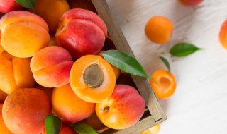 提高免疫力的水果有哪些 哪些水果提高免疫力