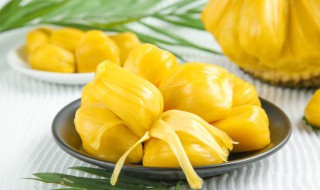 榴莲菠萝蜜是什么品种 榴莲菠萝蜜品种是什么