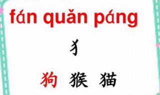 犭字旁的字与什么有关 中文的偏旁部首