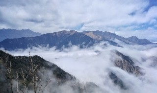 窗含西岭千秋雪下一句是什么 窗含西岭千秋雪原文介绍