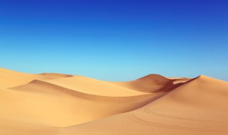 世界上最大的沙漠是什么 撒哈拉沙漠面积有多大