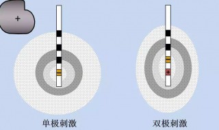 觉察刺激之间微弱差别的能力称为什么 让专家来解析这种能力