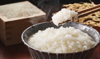 米饭保鲜方法 米饭保鲜方法推荐