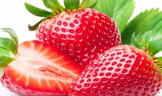 草莓的保鲜和储藏方法 草莓的保鲜和储藏方法推荐