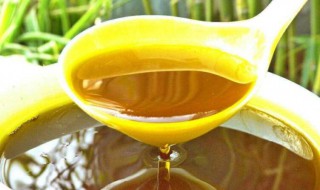 常吃蜂蜜的功效与禁忌 蜂蜜的功效是什么