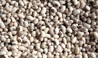 白眉豆煲汤窍门 白眉豆的营养价值